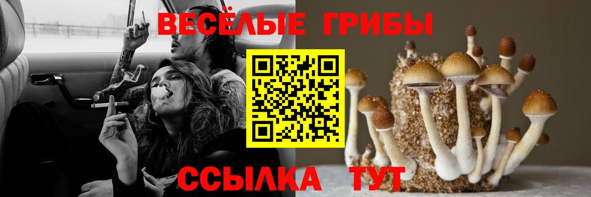 Галлюциногенные грибы ЛСД Барабинск